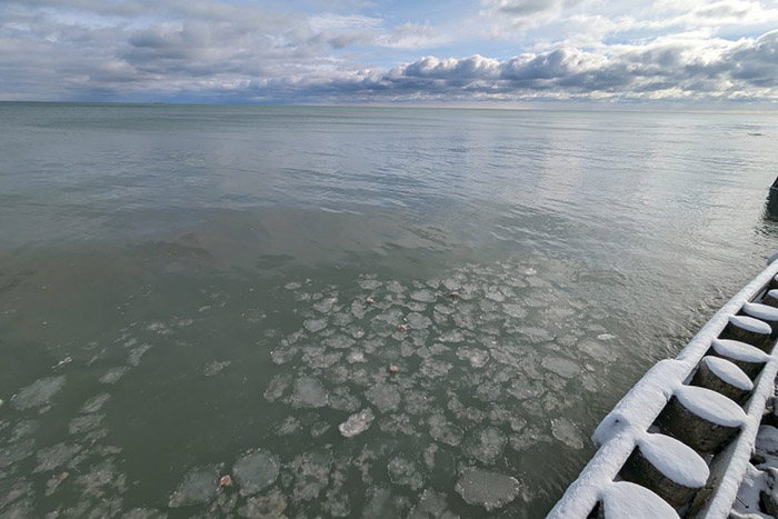 Pancake ice in Lake Huron