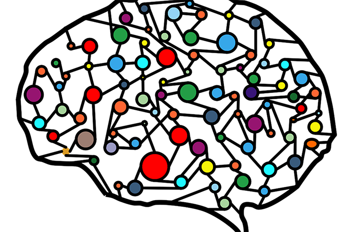 Neural network brain schematic
