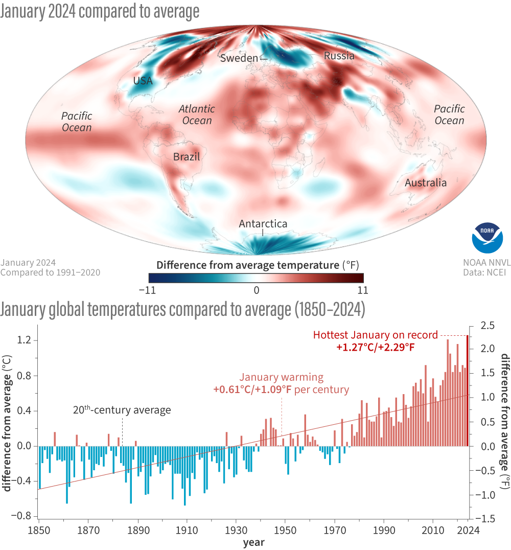 Combination graphic of a global map of January 2024 temperature anomalies and a bar chart of January temperatures each year from 1850-2024 comapred to average