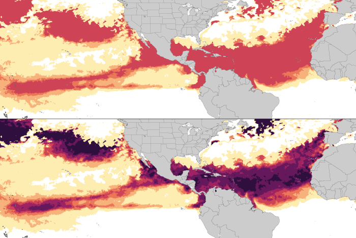 Coral heat stress scale rotator