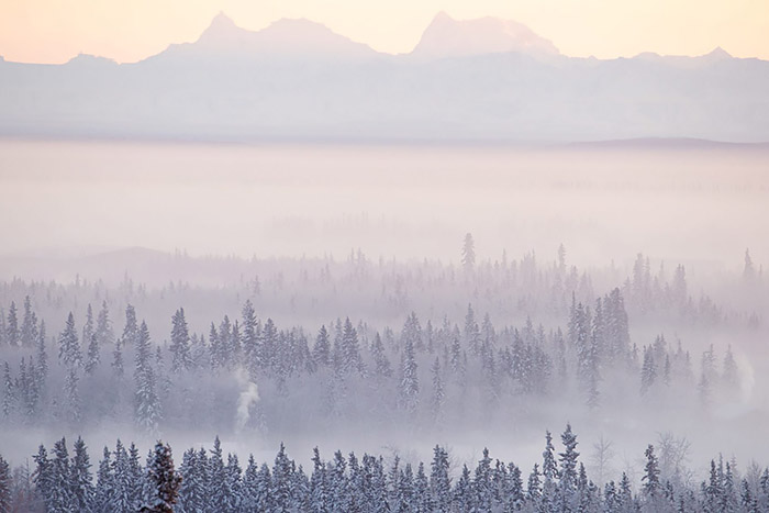 Low clouds over forested area