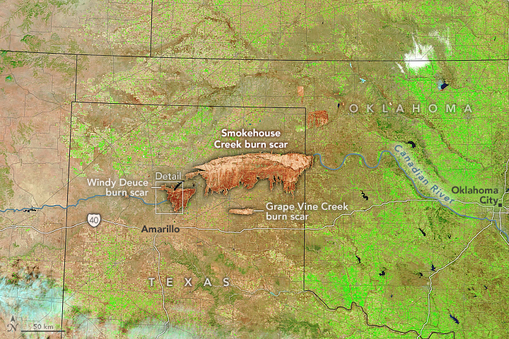 False-color satellite image of Texas fire burned area