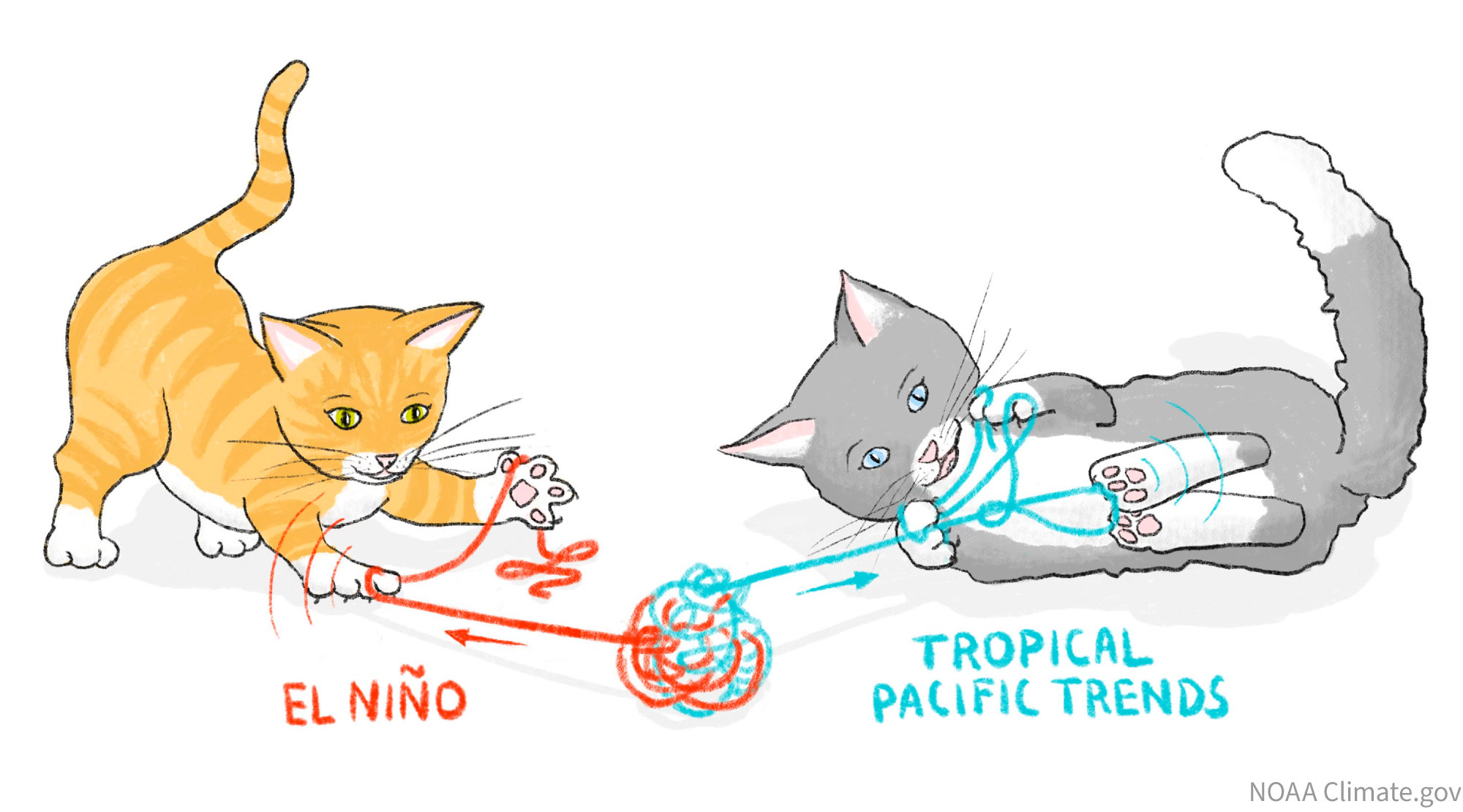 Cats doing attribution science