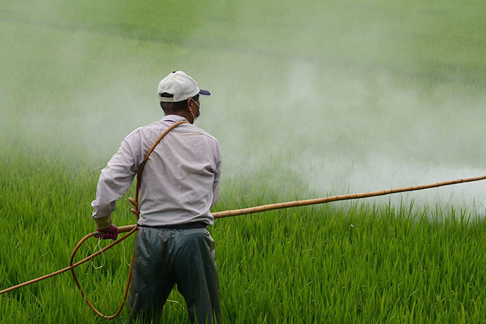 Worker spraying herbicide