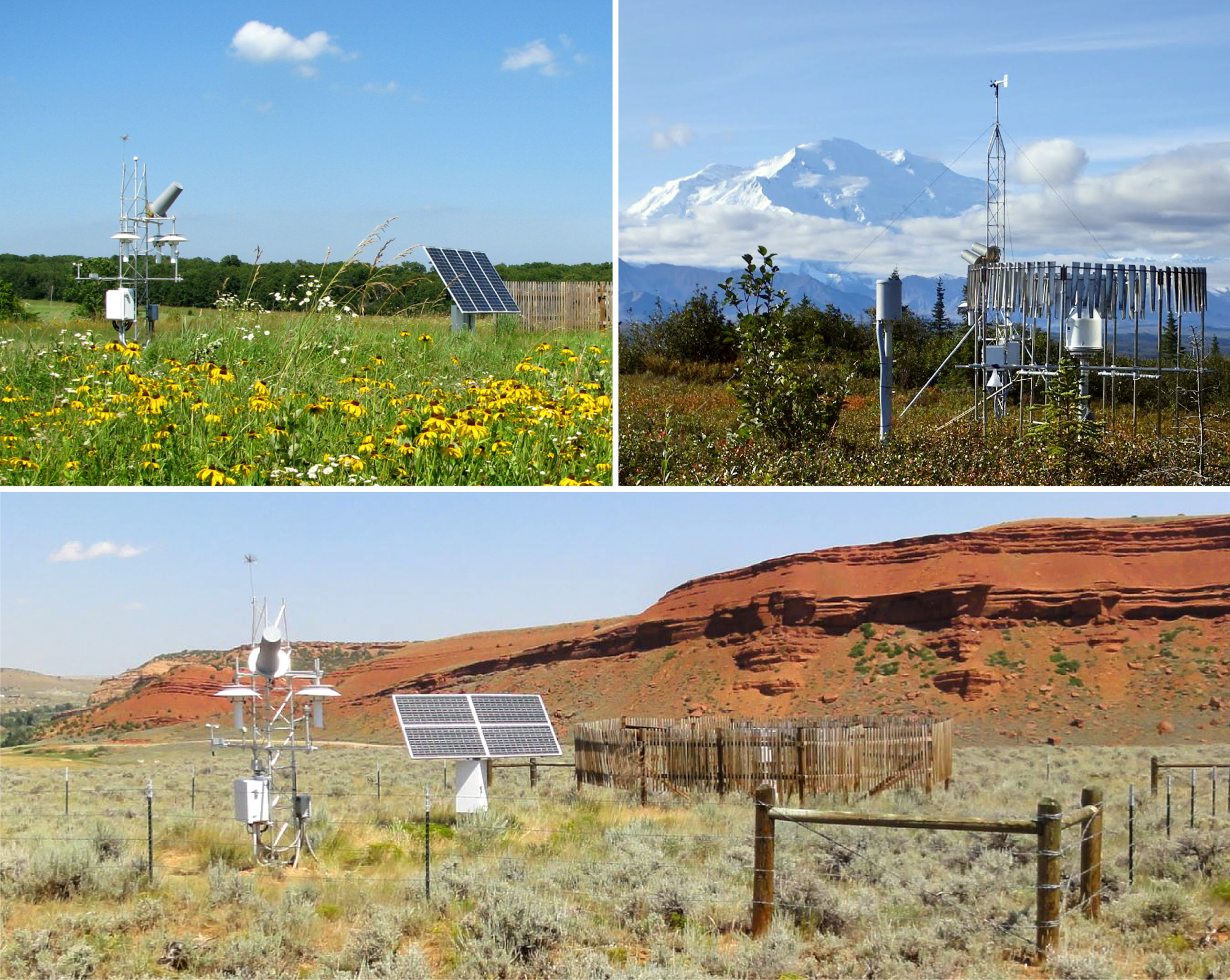 Montage of observation stations in three different environments