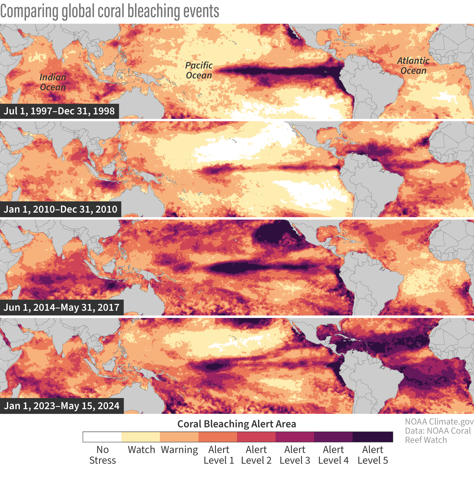 How does 2023-24 global coral bleaching compare to past events?