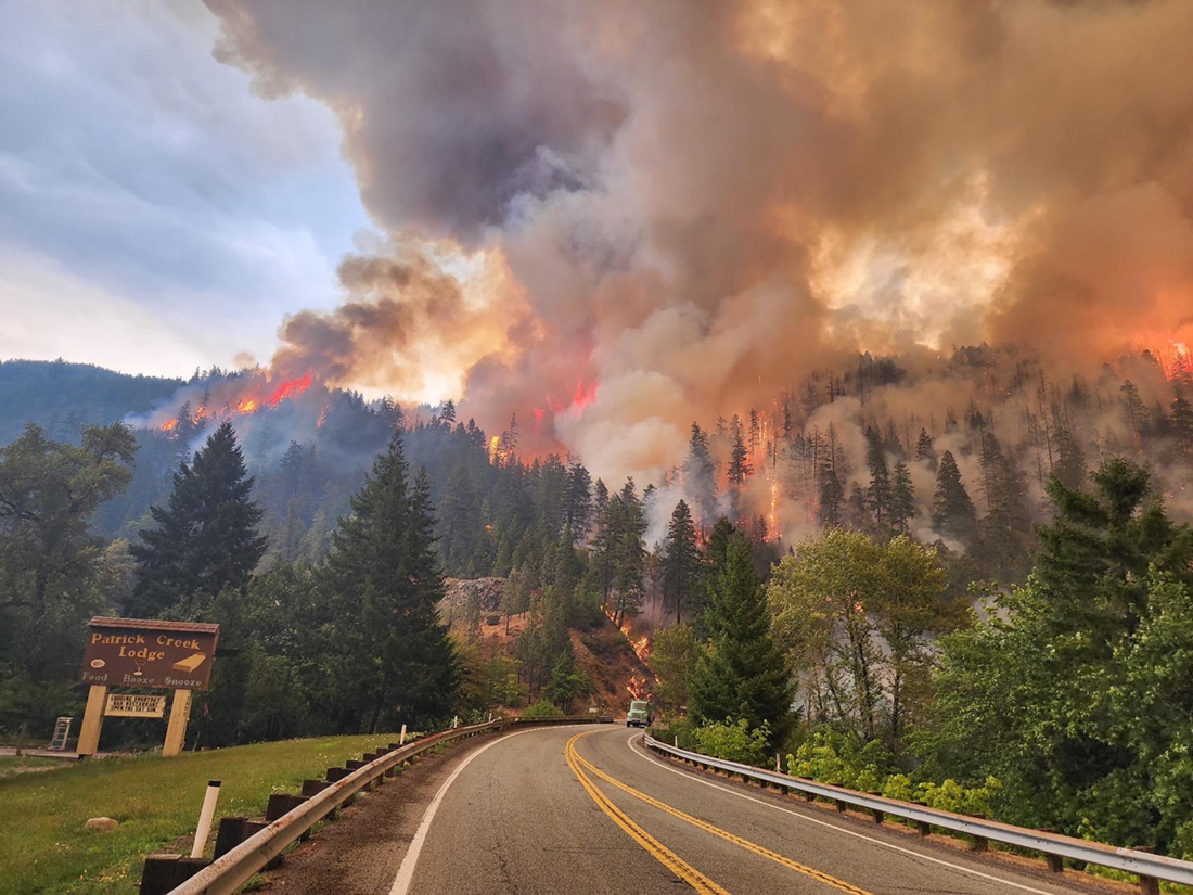 Mountain road leading to pine trees on fire with smoke and flames in air