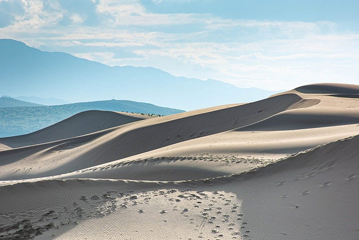 Sandy desert scene