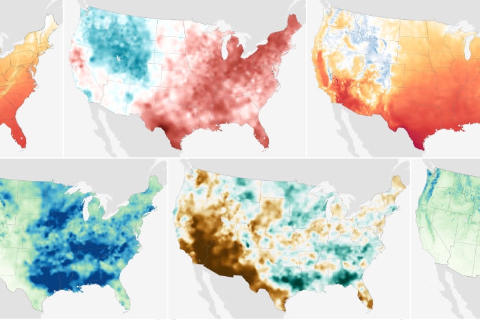 mosaic of multiple small U.S. maps
