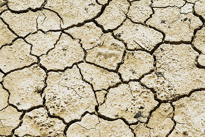 Cracked soil
