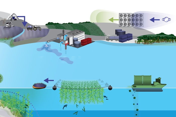 Drawing of land- and ocean-based carbon dioxide removal strategies