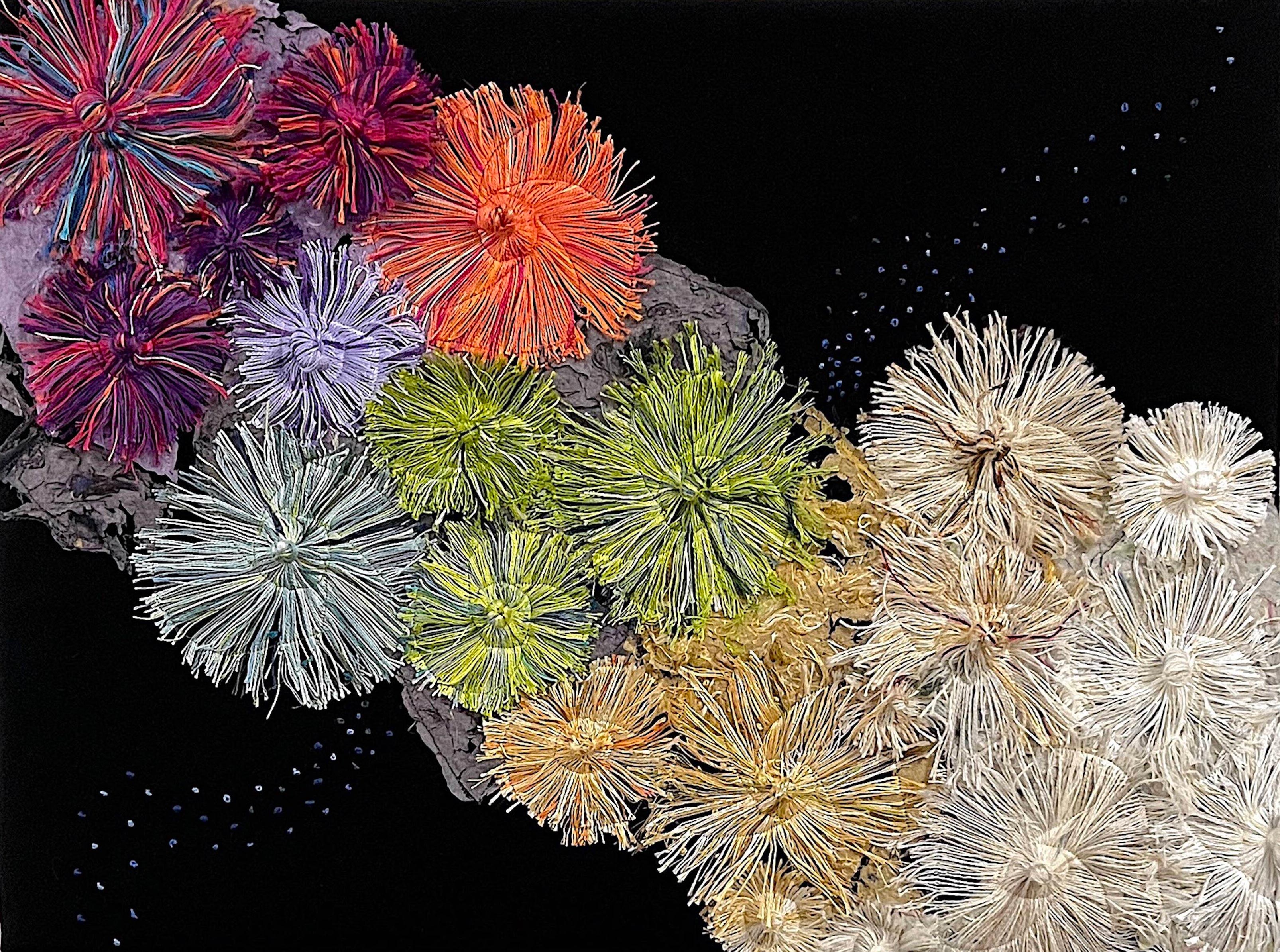 'Coral Conundrum: Dead or Alive' from the Art x Climate Gallery