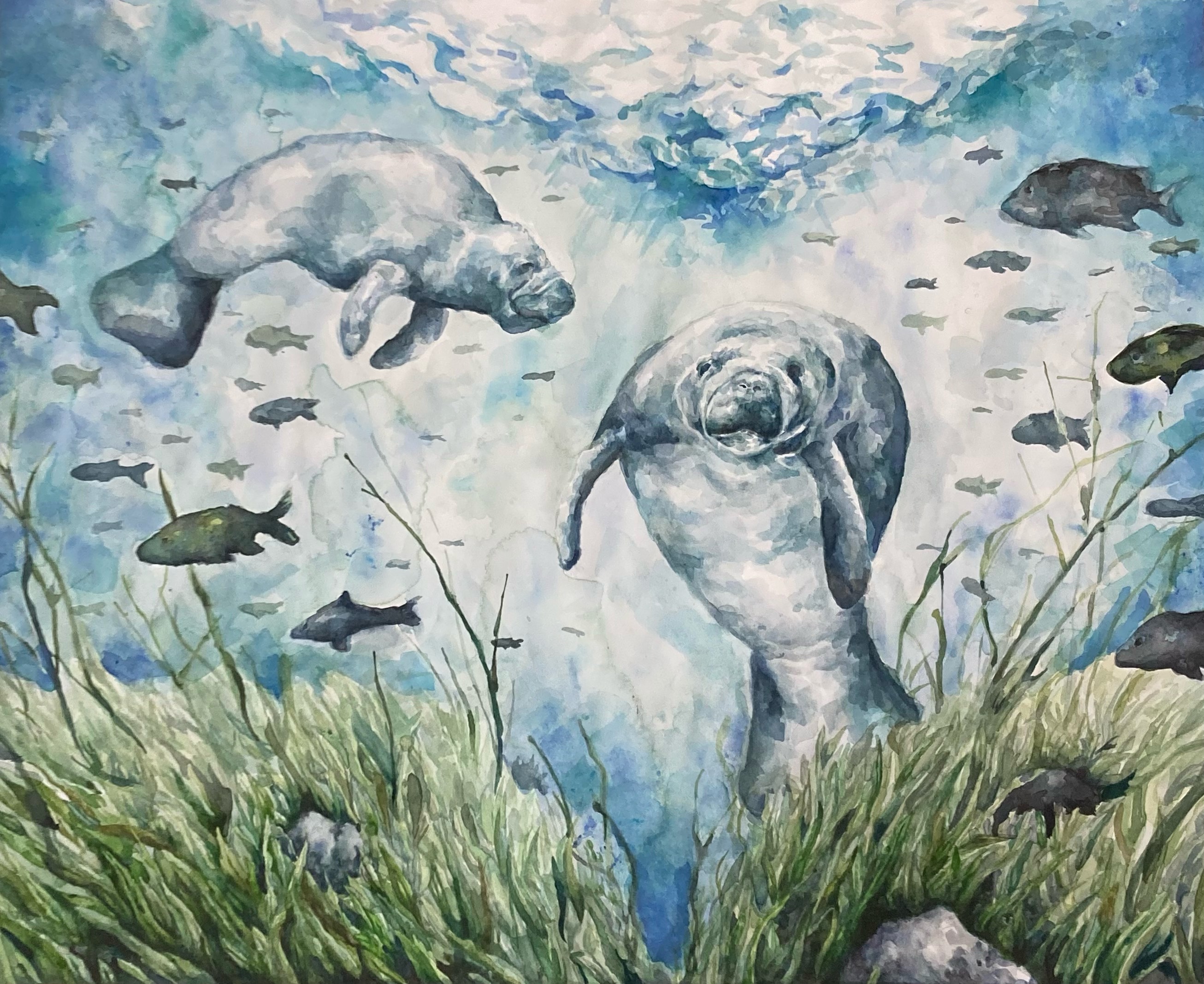 'Swimming with Manatees' from the Art x Climate Gallery