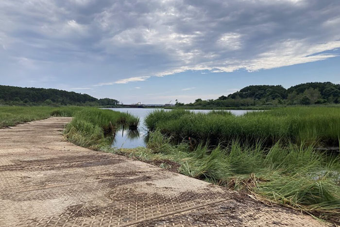 Salt marsh photo