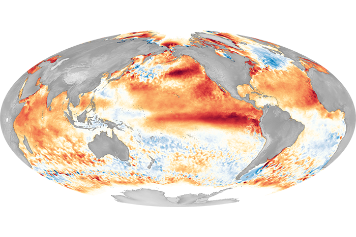 Global map of sea surface temperature anomalies