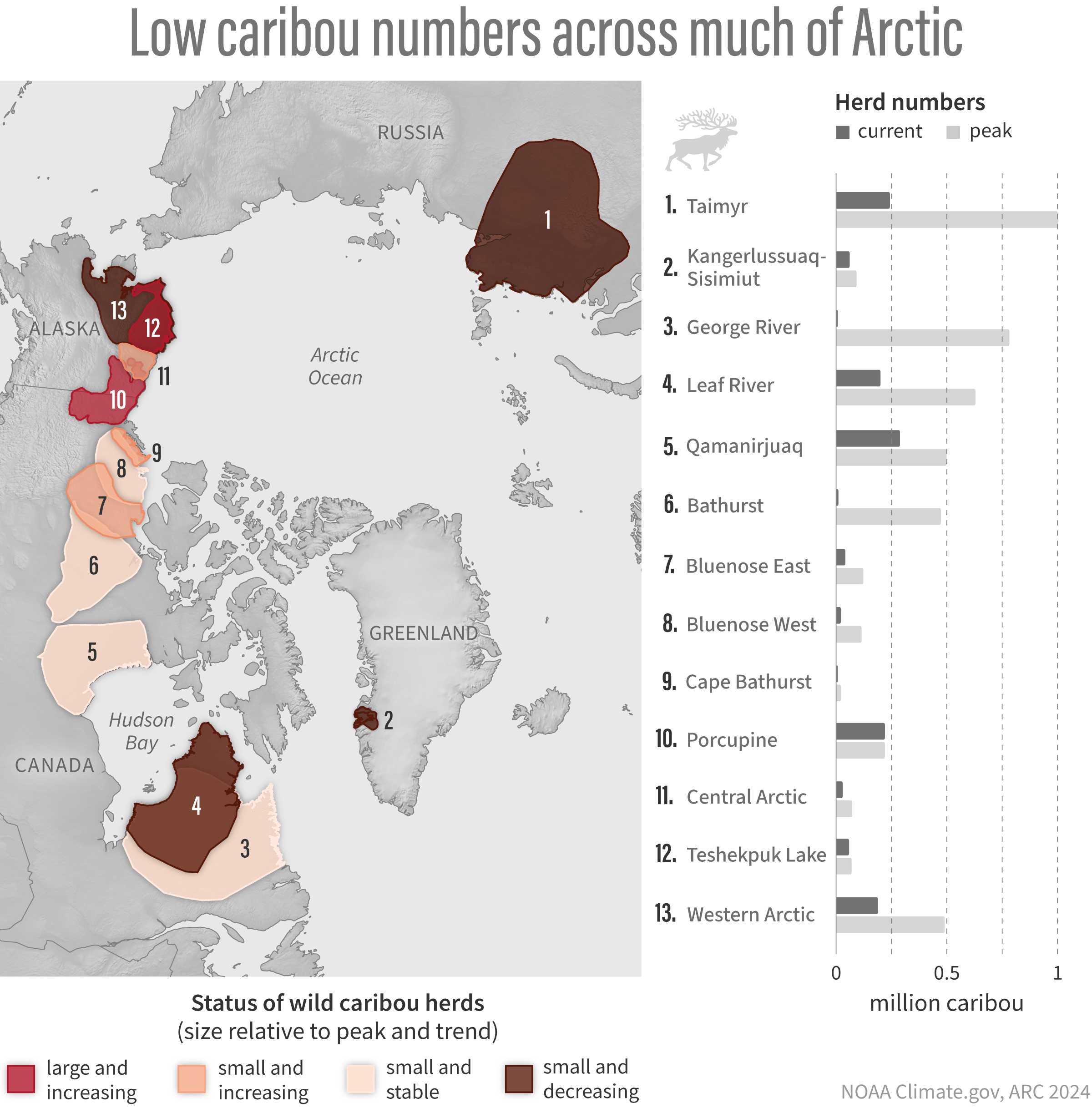 2024 Arctic Report Card: Migratory Arctic caribou populations have fallen by 65%
