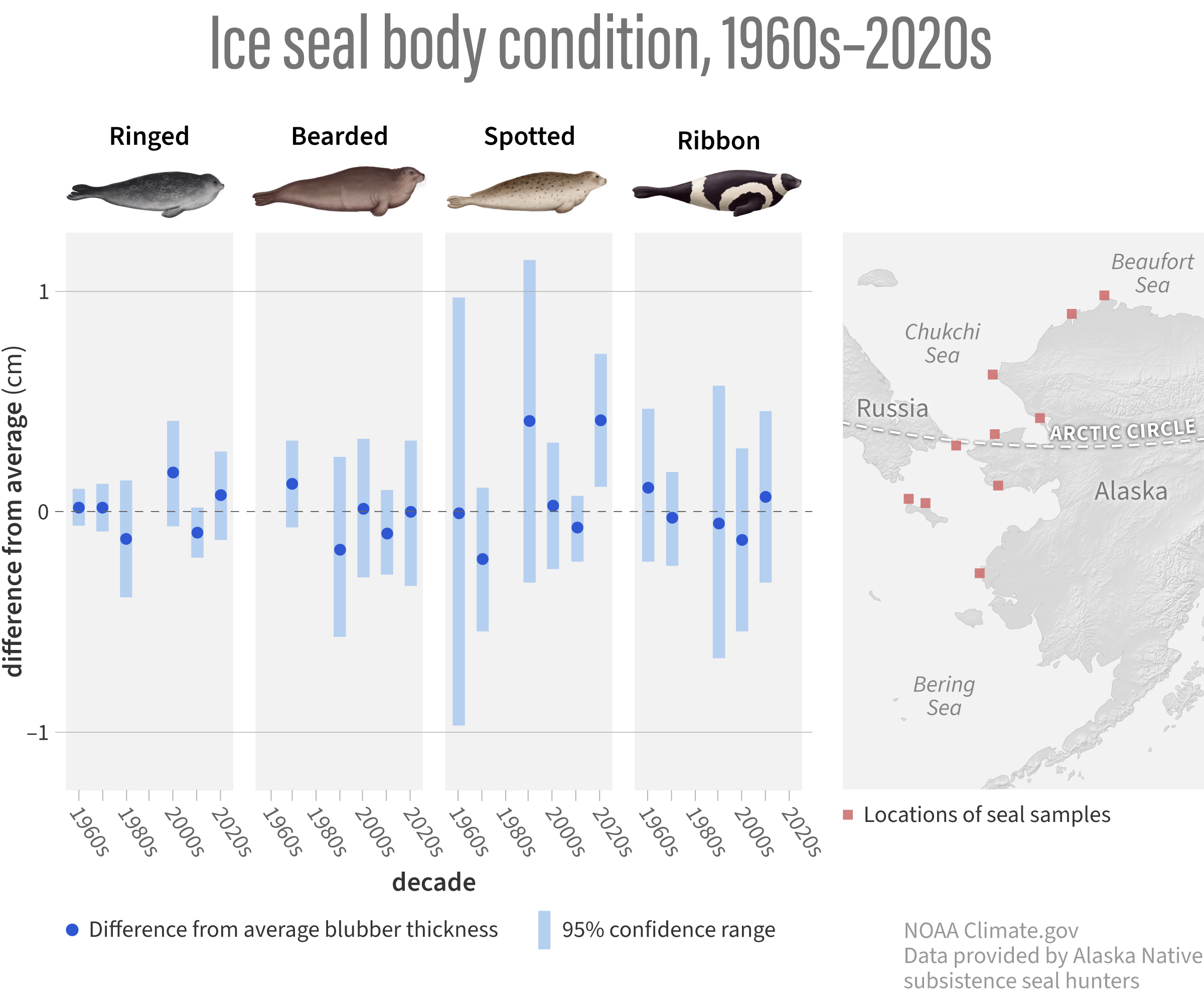 2024 Arctic Report Card: Ice seal populations in the Pacific Arctic remain healthy