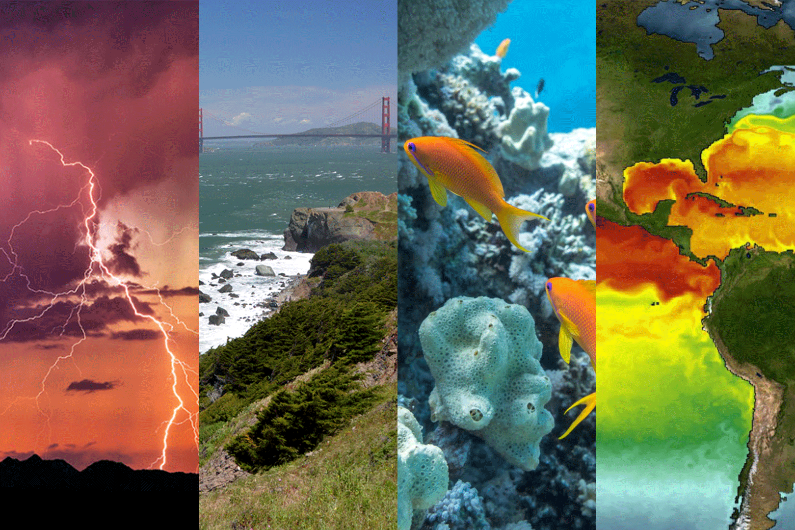 Photo collage of ecosystems and weather events 