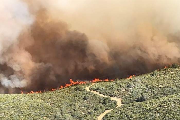 Fireline and smoke along ridge