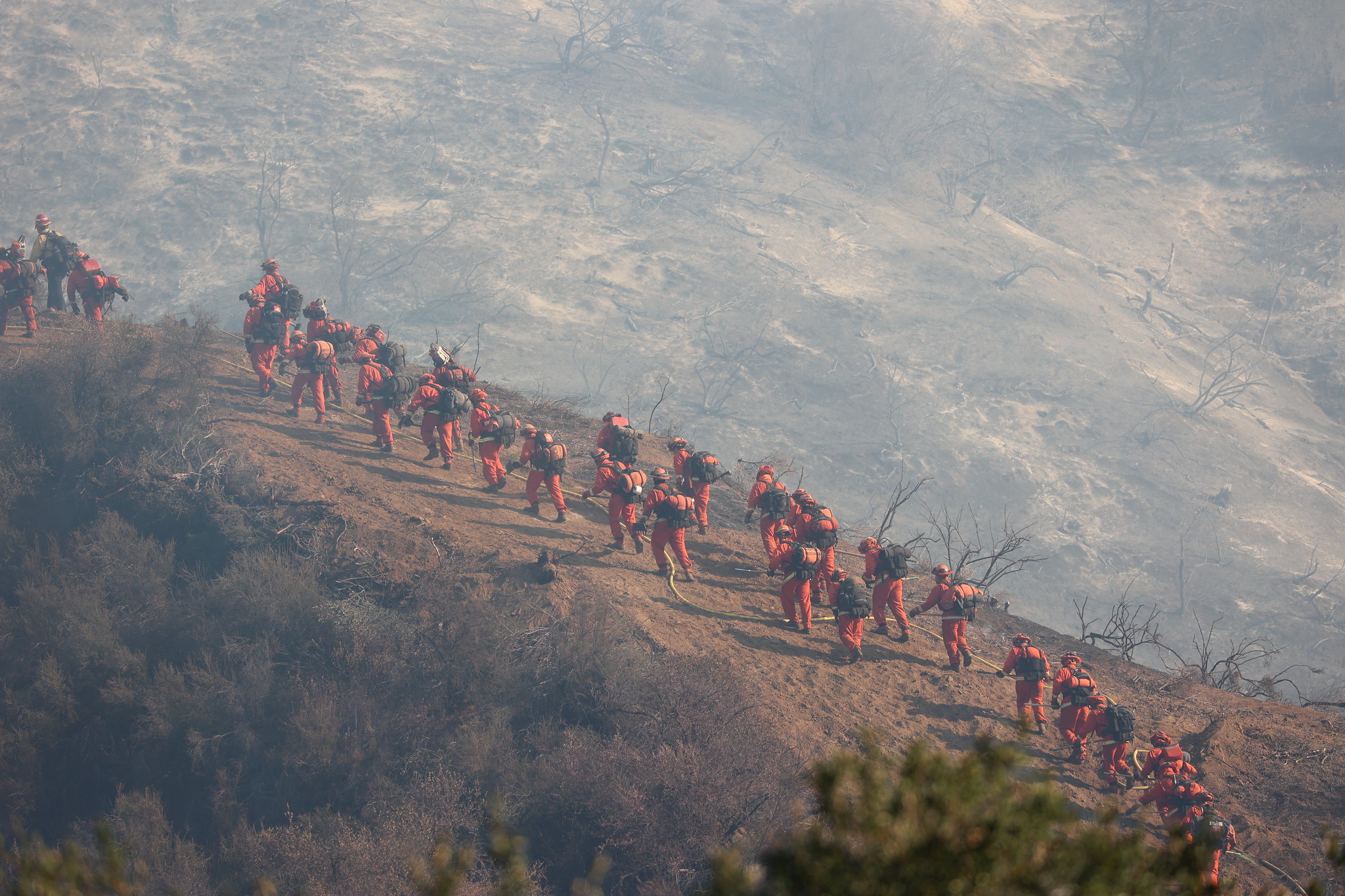 a line of firefighters on a hill between burned and unburned vegetation 