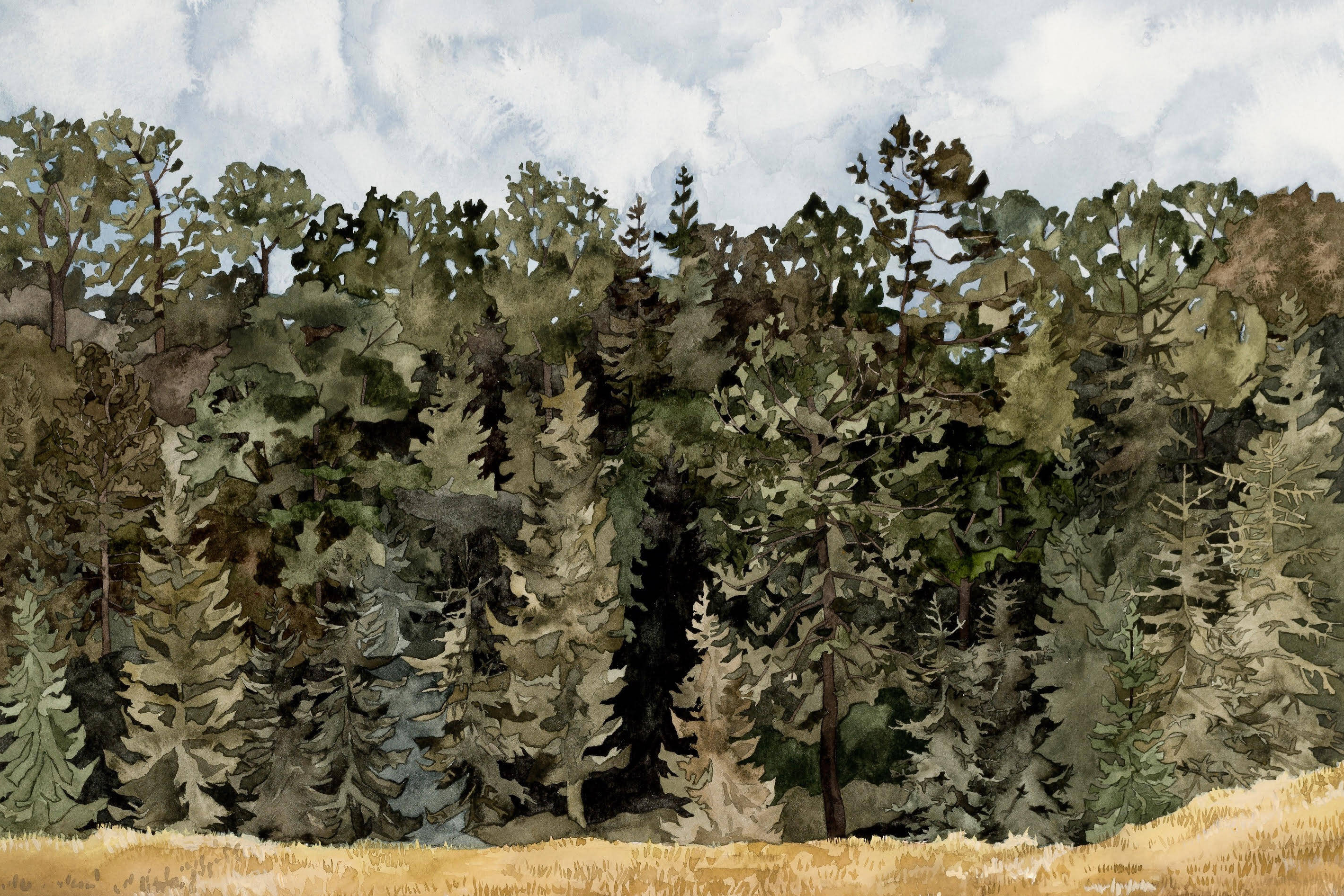 NCA5 artwork showing work on landscape