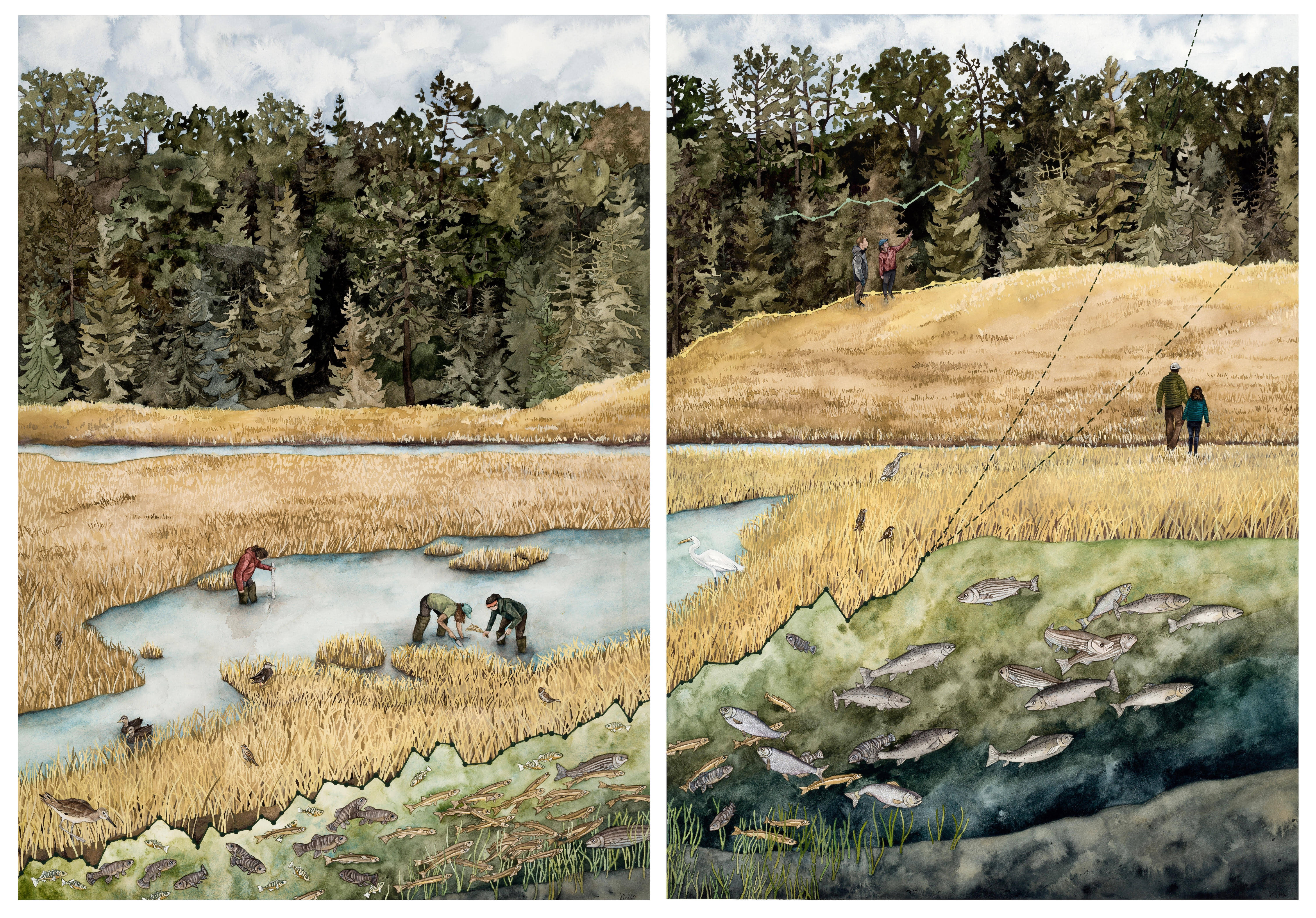 'Replanting and Resilience (Diptych)' from the Art x Climate Gallery