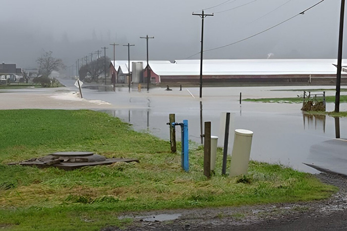 Photo of flooded coastal area
