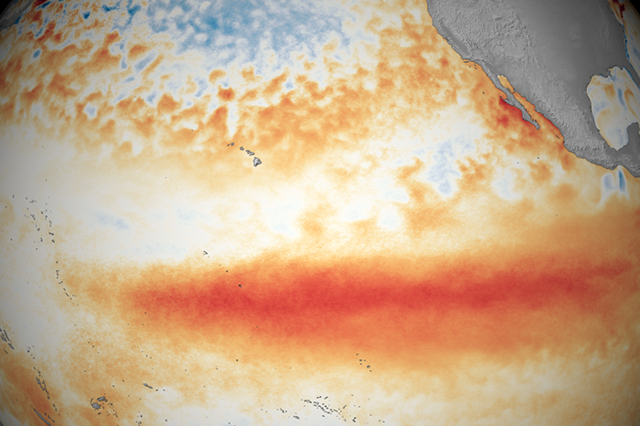 Heat anomaly image of the tropical Pacific Ocean