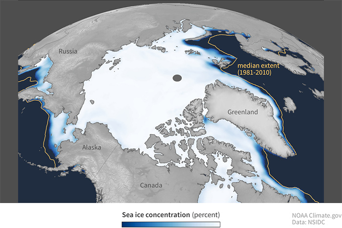 Thumbnail map of Arctic sea ice concentration with a median extent line