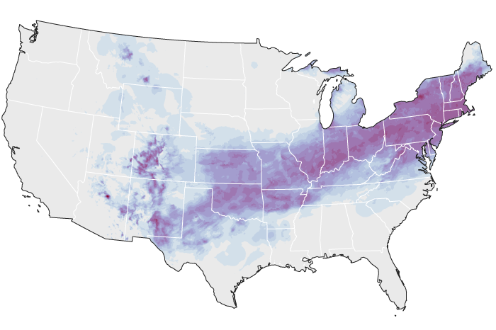 Thumbnail map of winter storm totals on Jan 23-26, 2026