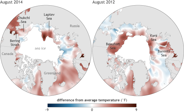 Summer 2014 brought above-average warmth to western Arctic waters