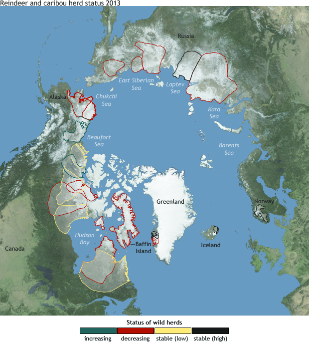 2013 Arctic Report Card: Reindeer and caribou numbers low, winter ranges small