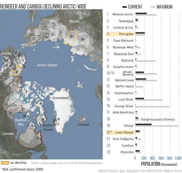 2018 Arctic Report Card: Reindeer and caribou populations continue to decline