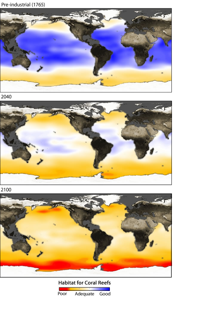 Ocean Acidification: The Other Carbon Problem