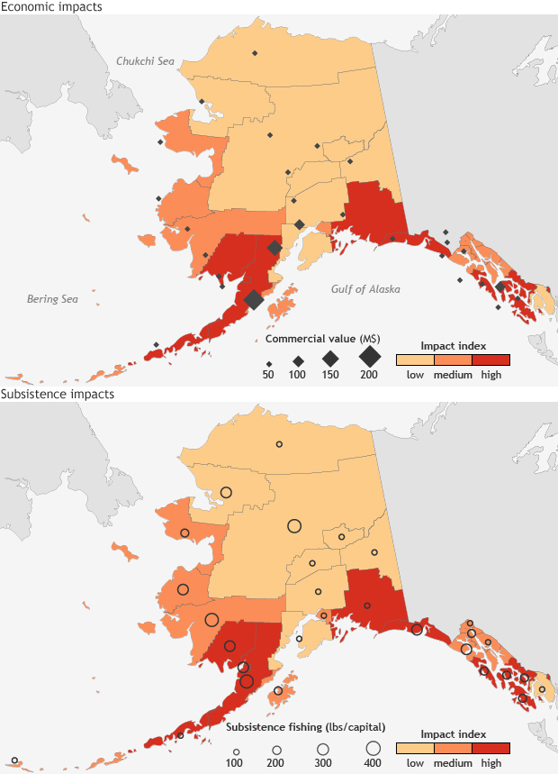 Increasing ocean acidification threatens Alaska’s valuable commercial and subsistence fisheries 