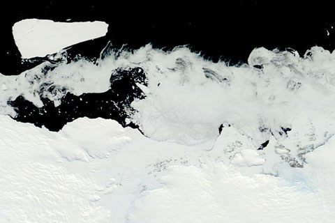 Antarctica