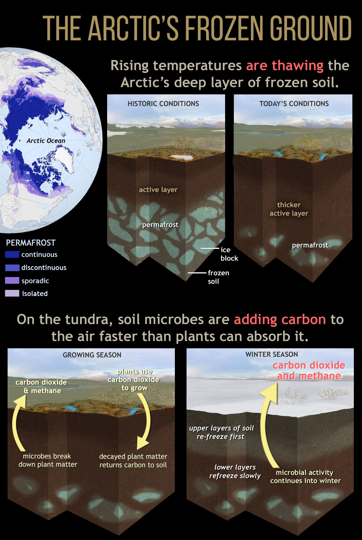 Infographic showing soil processes in thawing permafrost