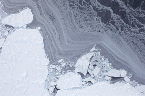 NASA photo of thinning Arctic Sea ice.