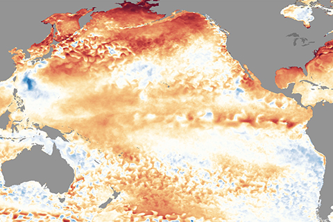 Sea surface temperature anomaly map