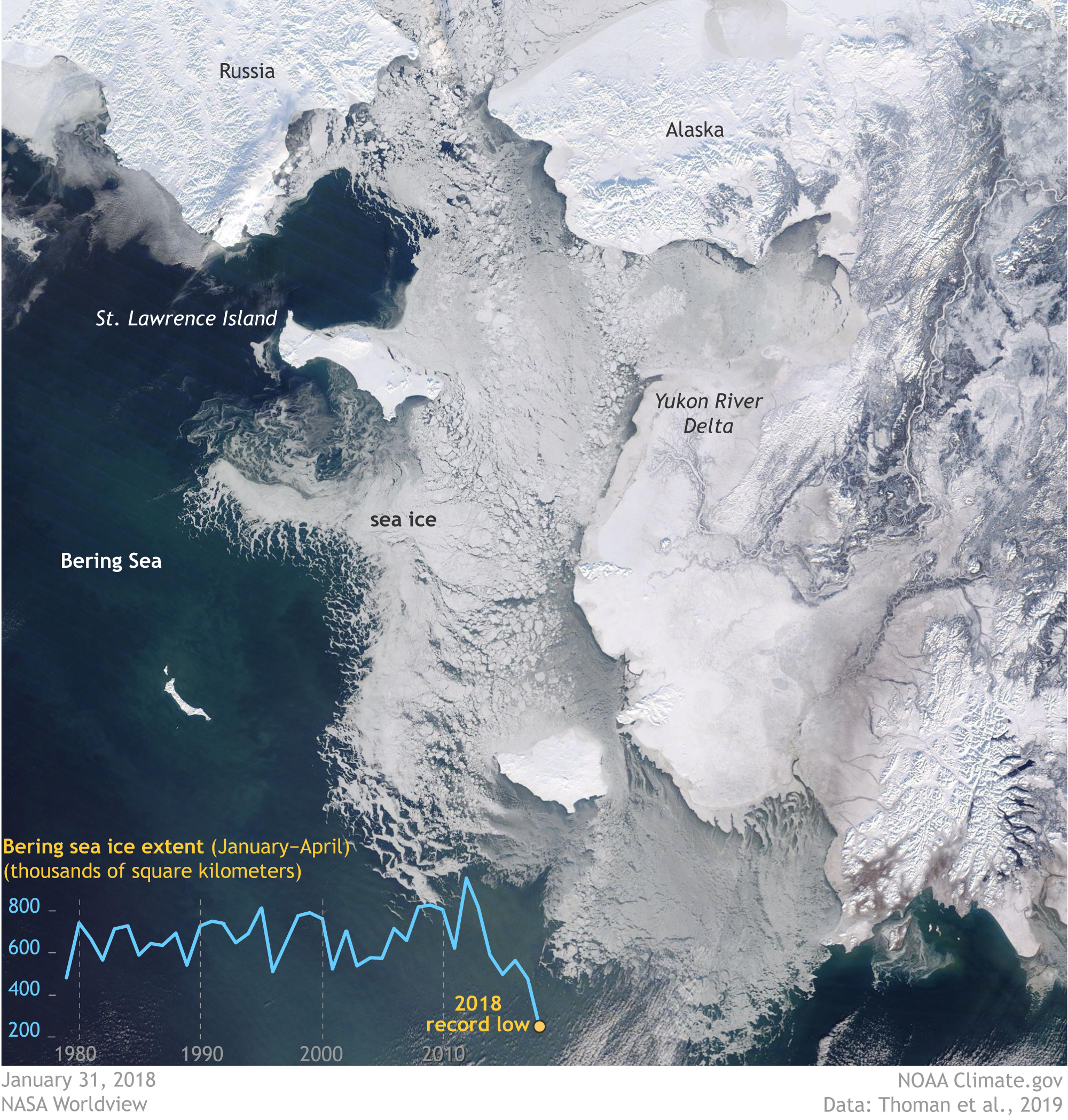 Satellite photo of Bering Sea showing the dramatic difference in reflectiveness between ice-covered and ice-free parts of the sea 