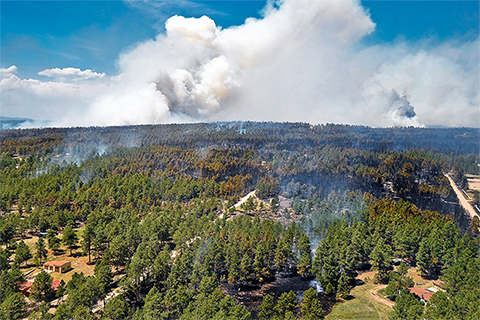 oblique view of forested land with smoke rising above it