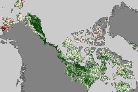 Map of changes in overall vegetation growth in the Arctic between 1982 and 2010.