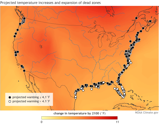 Climate change likely to worsen U.S. and global dead zones