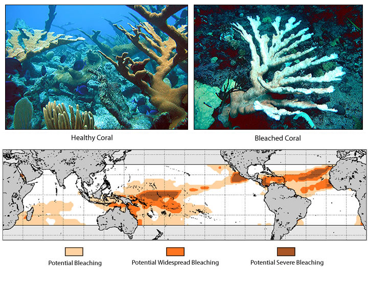 NOAA’s Coral Bleaching Outlook
