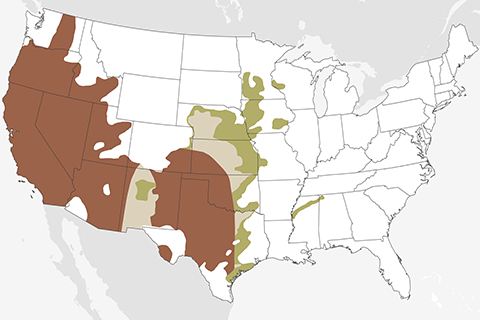 For southeastern Colorado, dry times may persist into summer
