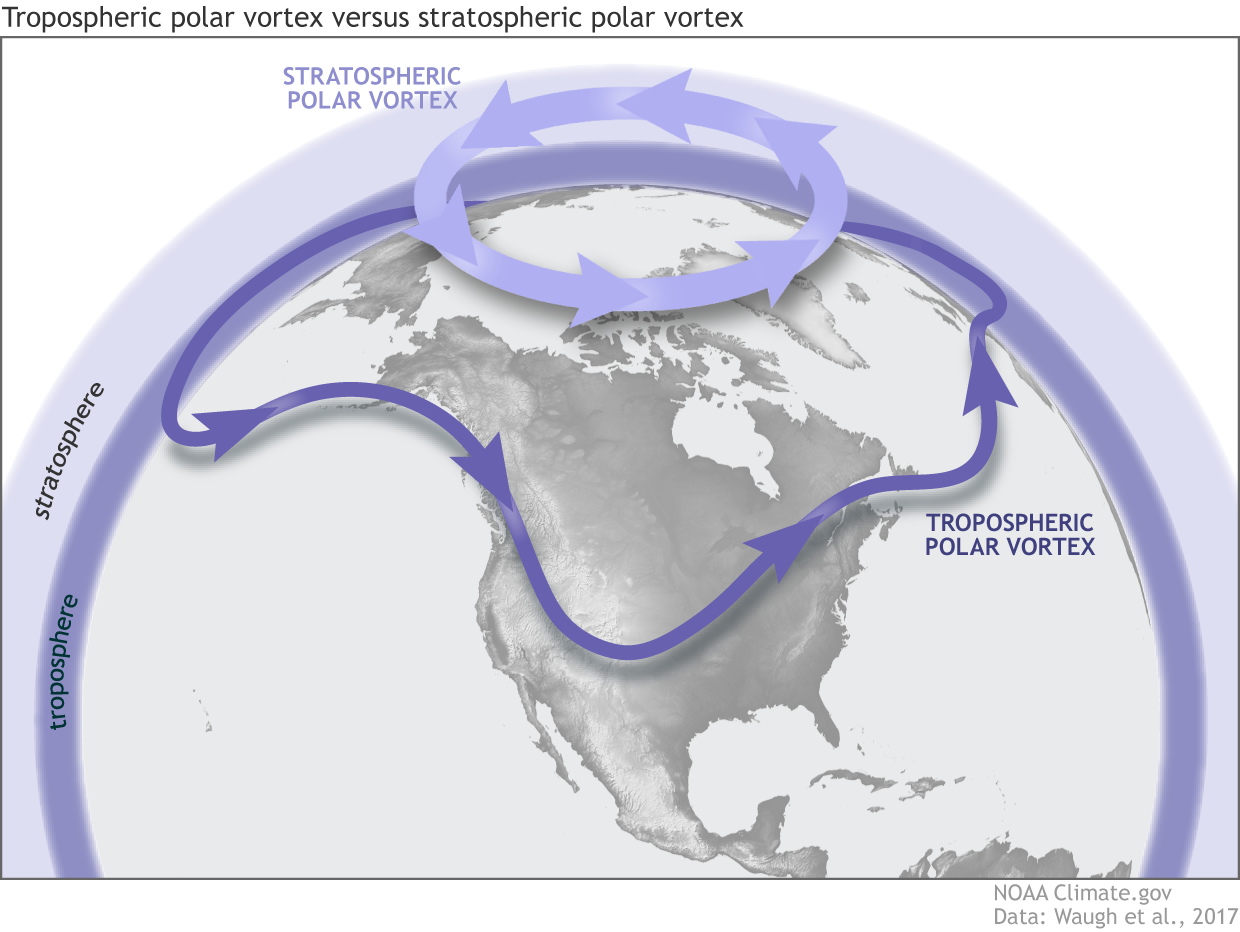 Schematic of tropospheric and stratospheric polar vortexes