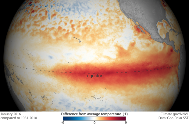 El Niño warmth continued during January 2016