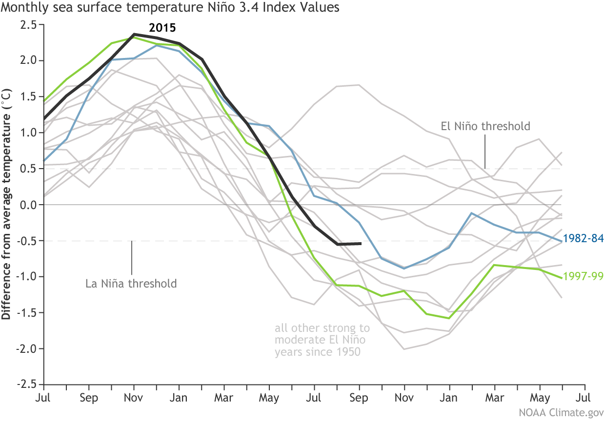 Line graph showing how ocean temperatures in the Nino3.4 region compared for all moderate to strong El Nino years since 1950. The black line for 2015-2016 shows that this event was similar to past events in its progression.