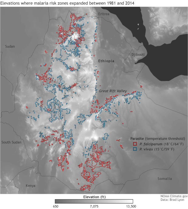 Malaria risk zones expand to higher elevations in Ethiopian Highlands