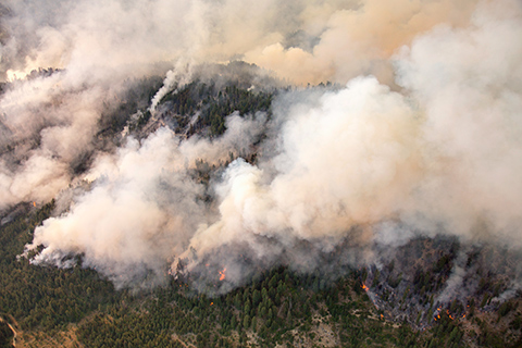 Wildfire smoke